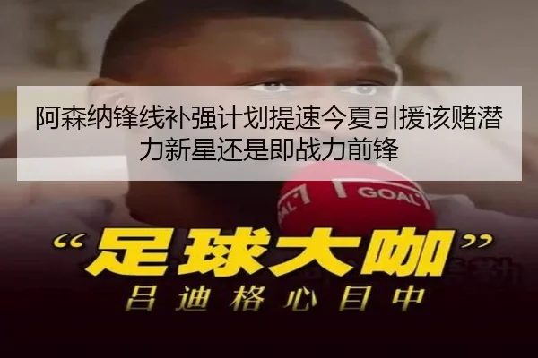 阿森纳锋线补强计划提速今夏引援该赌潜力新星还是即战力前锋